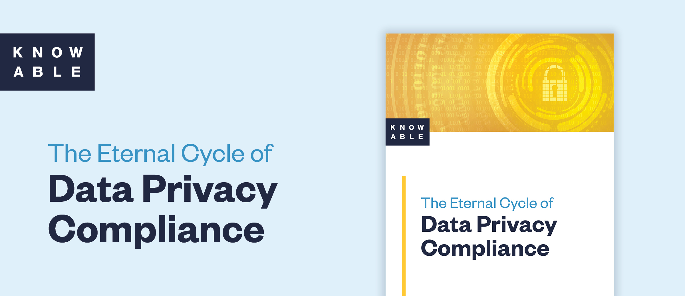 Best Practice Guide: Data Privacy